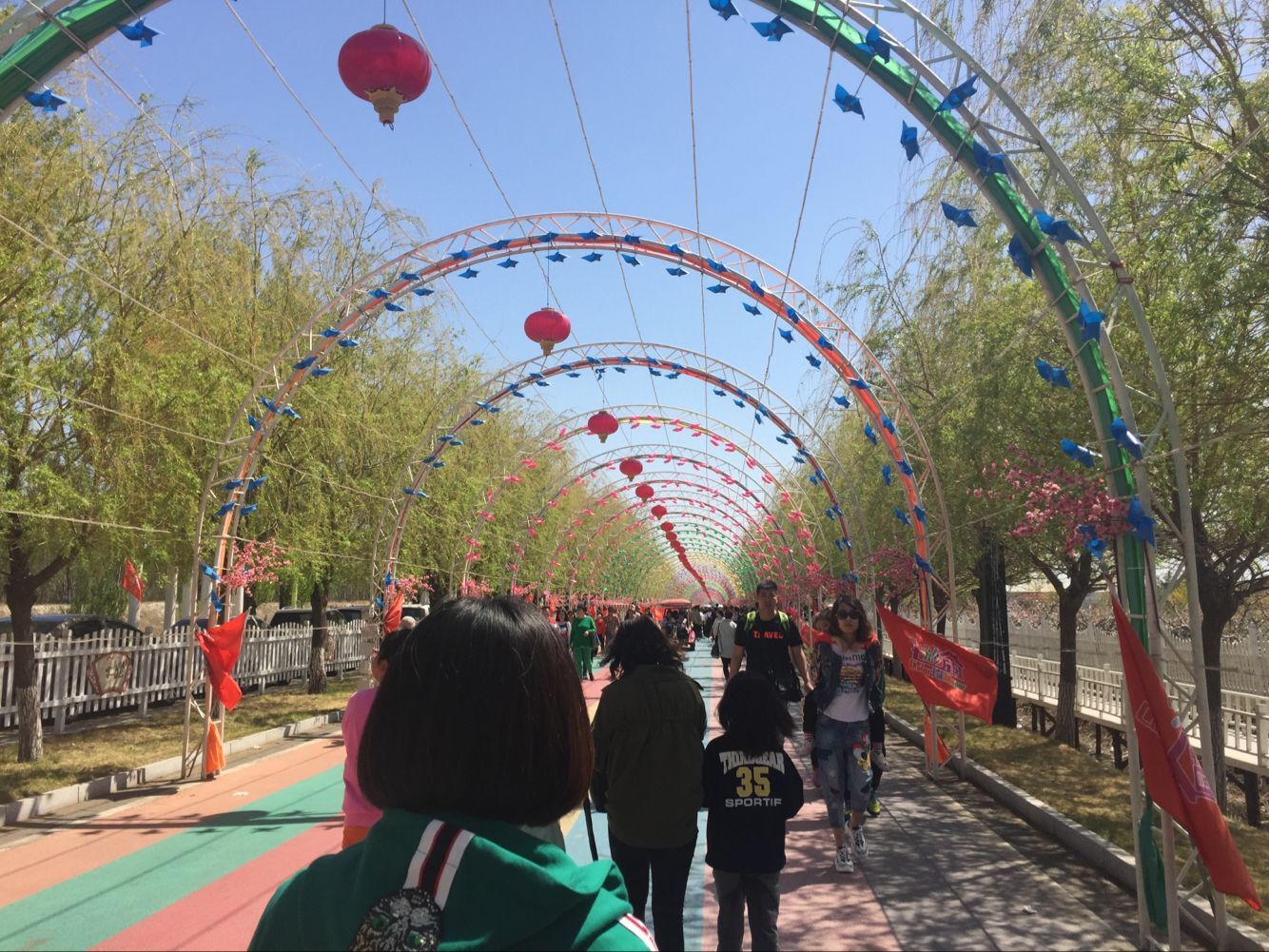 盘锦中尧七彩庄园一日游