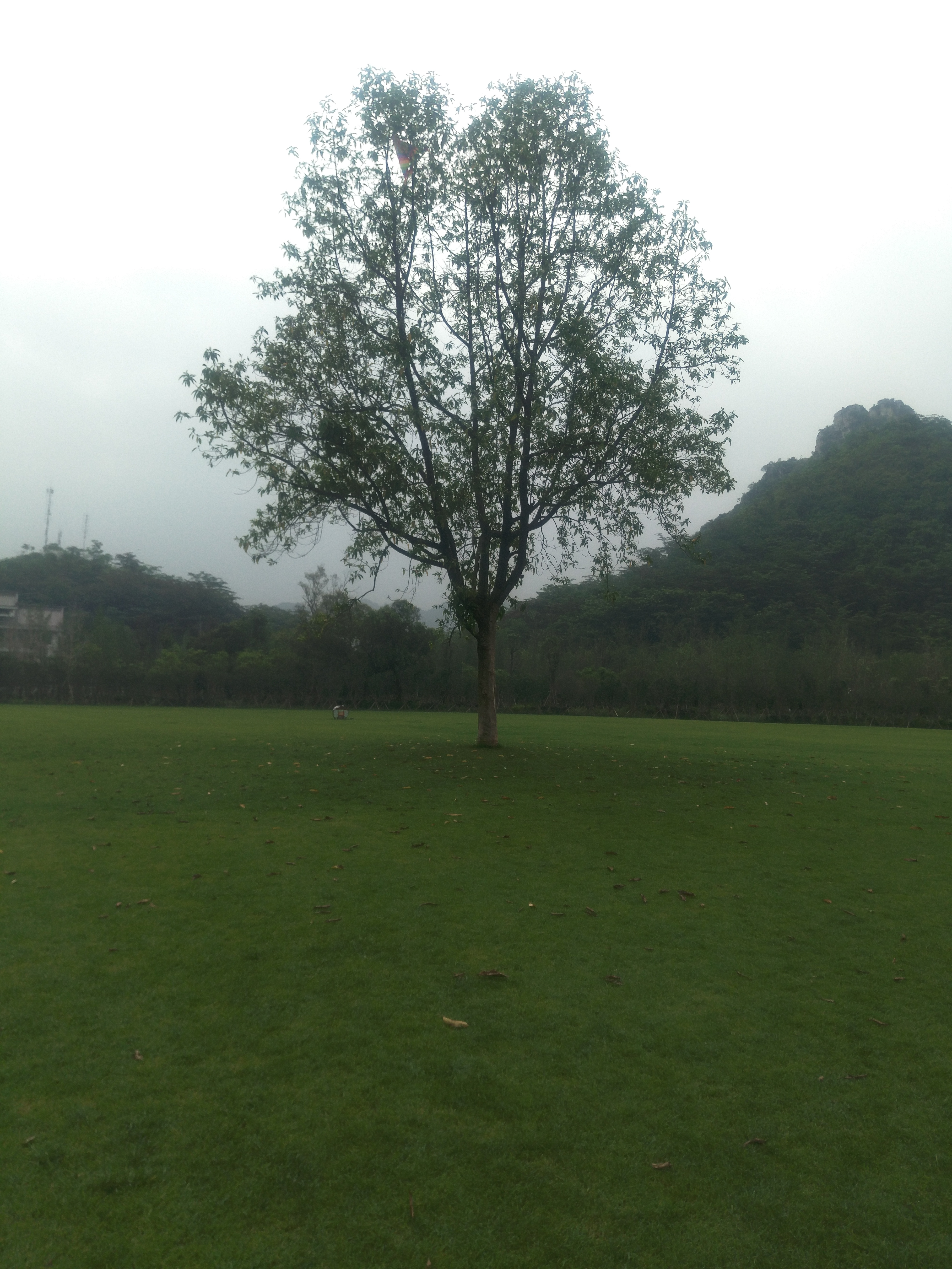 精【游记】游国家4a级旅游景区--柳州马鹿山公园