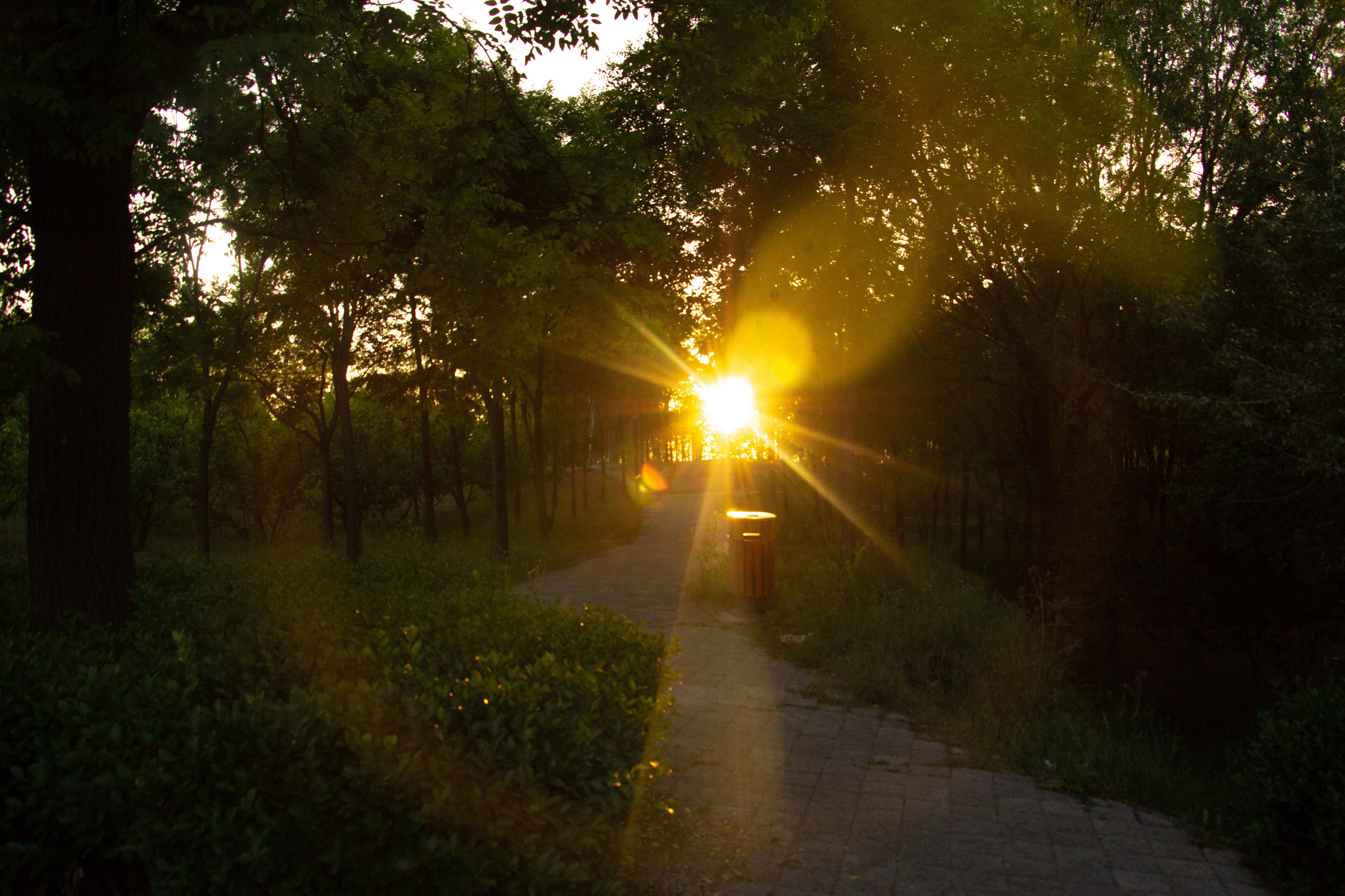 夕阳无限好 只是近黄昏.换一种心情感受自然 太原万亩