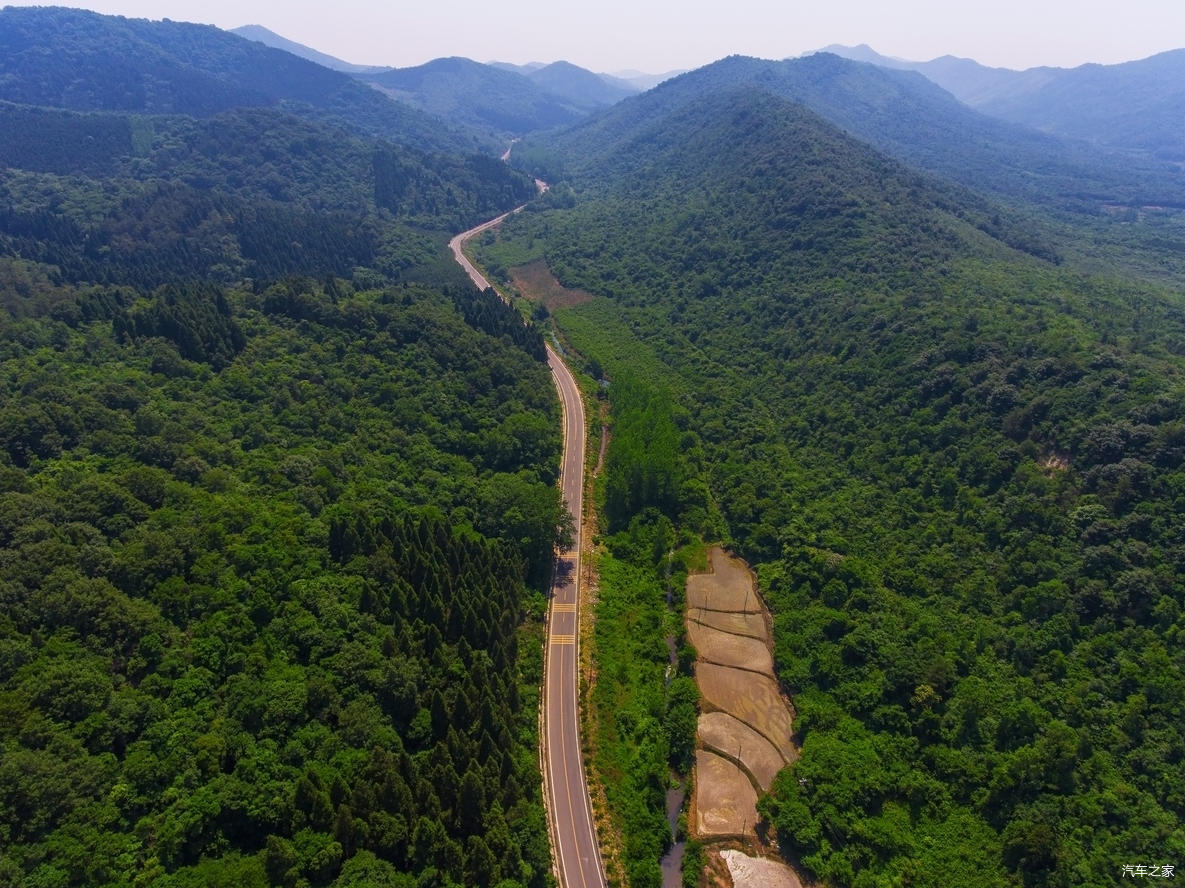 湖北省太子山林场管理局(以下简称太子山)为省林业厅直属事业单位