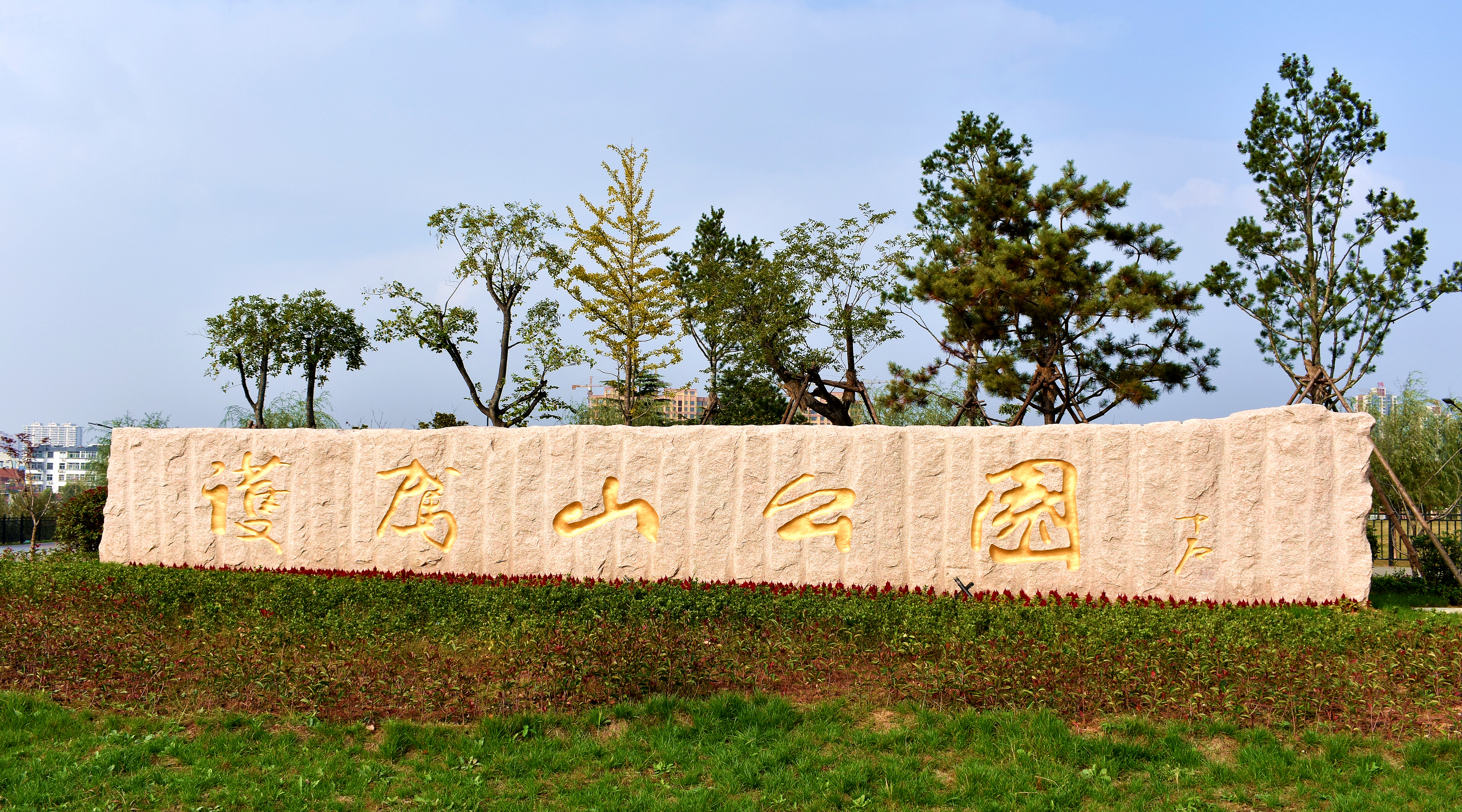 【圣地周边游】赏花季寻美邹城,护驾山国色天香牡丹开