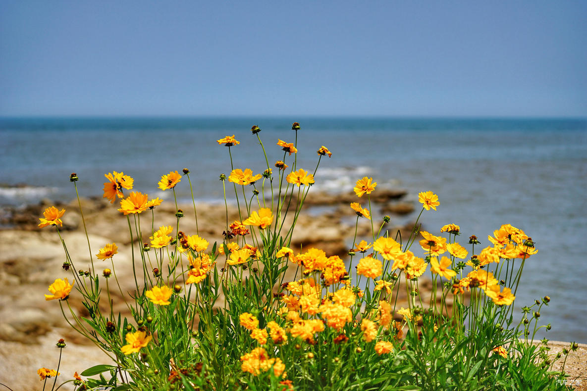 荐日照大海春暖花开