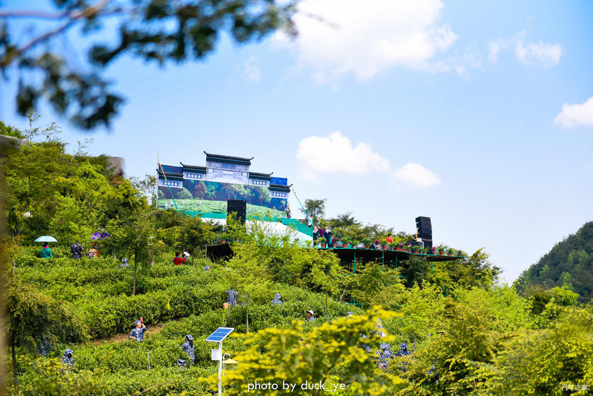 荐赣州虔心小镇距广州3小时隐世茶园里的禅修之地踏春好去处