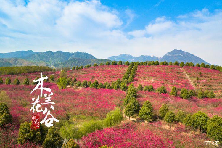 武汉后花园·花木兰故里——自驾黄陂，打卡9大花海景点-木兰水镇旅游景区游记